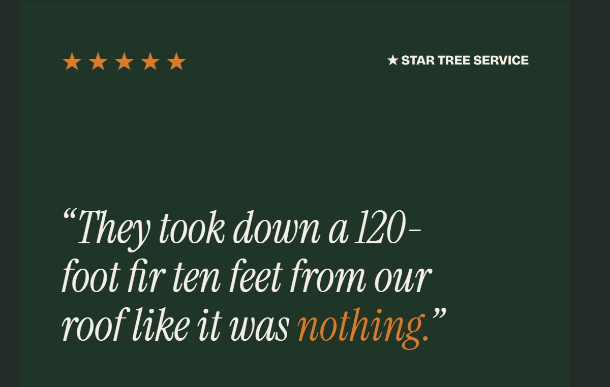 One of the ready-to-publish social posts — a five-star customer review: 'They took down a 120-foot fir ten feet from our roof like it was nothing.'
