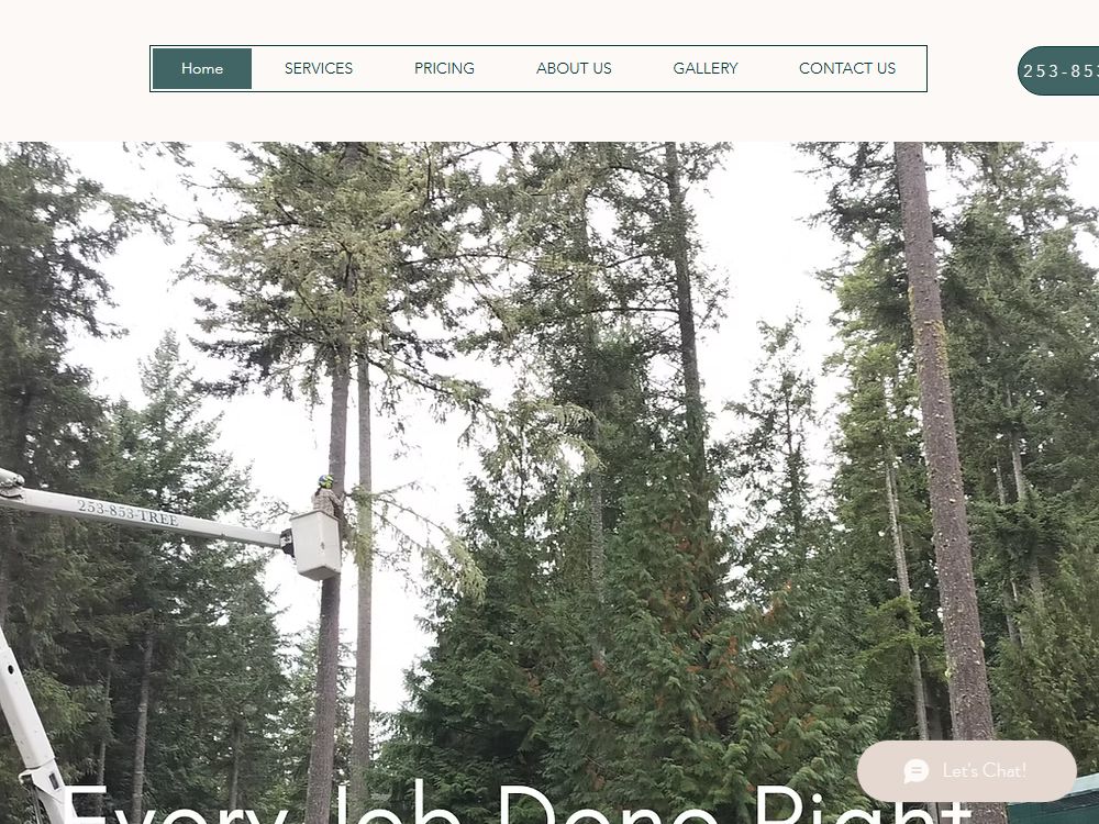 Live homepage of startreeservice.com — menu with Pricing, Gallery, About Us and online booking